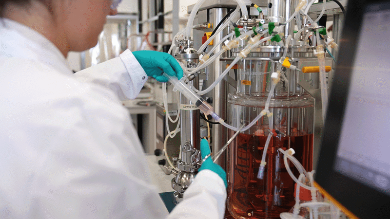 Rentschler Biopharma SE Services_Upstream Processes Rentschler Biopharma SE Services_Upstream Processes