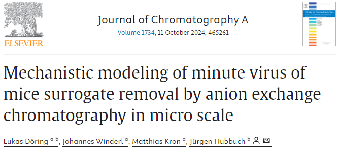 Mechanistic modeling of Minute Virus of Mice Virus-Like Particle removal by anion exchange chromatography